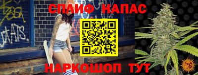 гашик Мариинск