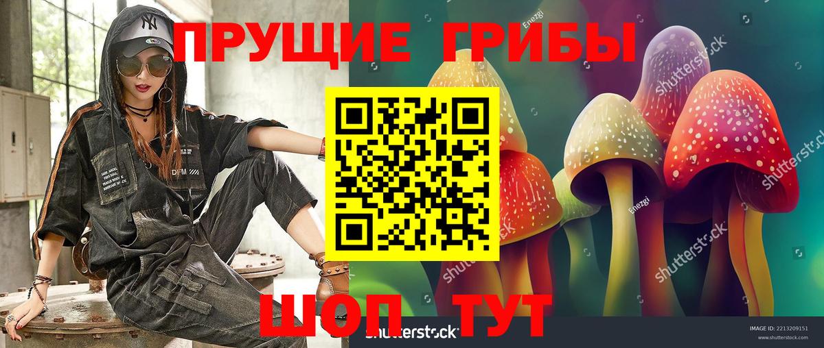 Псилоцибиновые грибы Cubensis  Вход с VPN  Дюртюли 